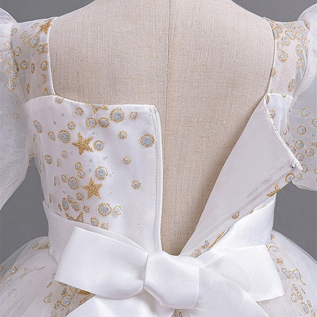 Girl Girls' Kid's Princess Flower Dress