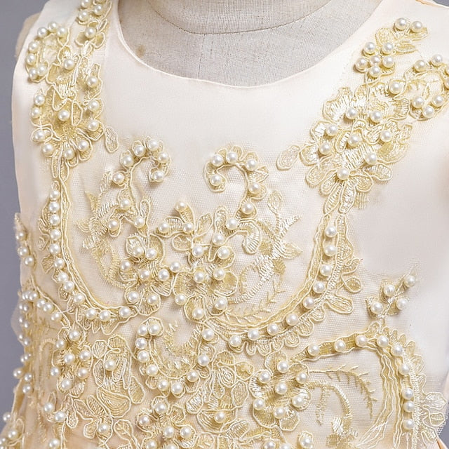 Party Dress Girls' Girl Wedding Flower