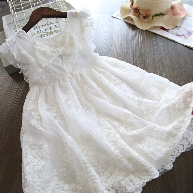 Princess Dress Girl Party Girls' Flower