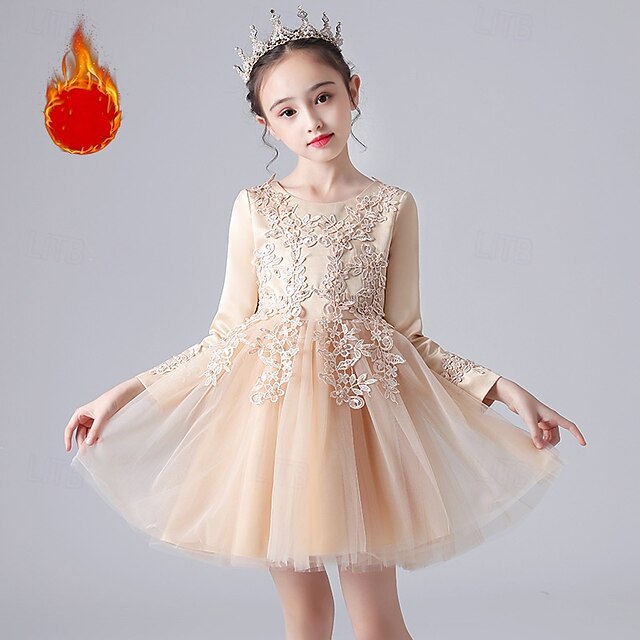 Flower Girls' Girl Dress Kid's Princess