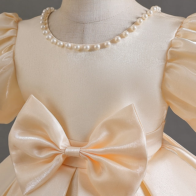 Wedding Special Party Flower Girls' Dress Girl