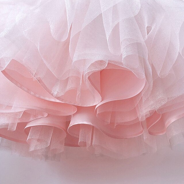 Kid's Girls' Princess Flower Girl Dress