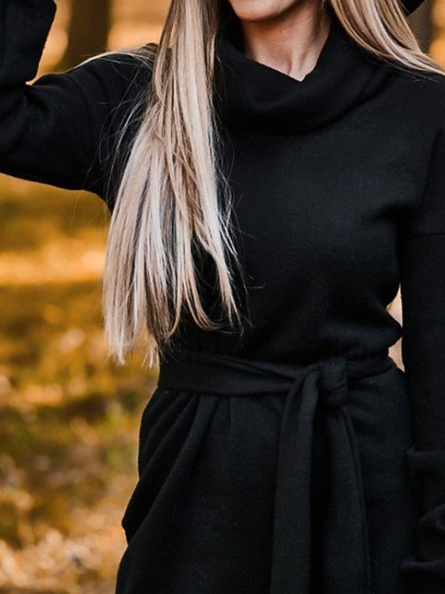 Women's Midi Dress Sweater Dress Sheath Dress Fashion