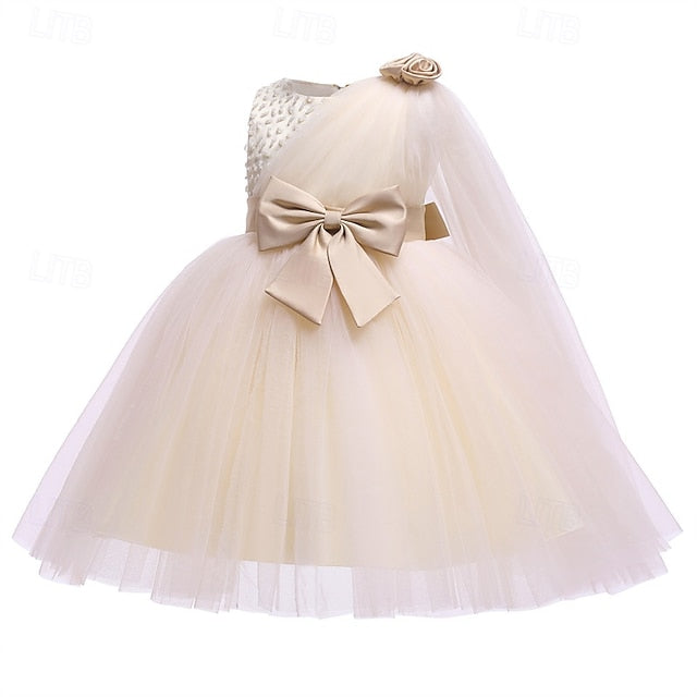 Girl Kid's Princess Dress Flower Girls'