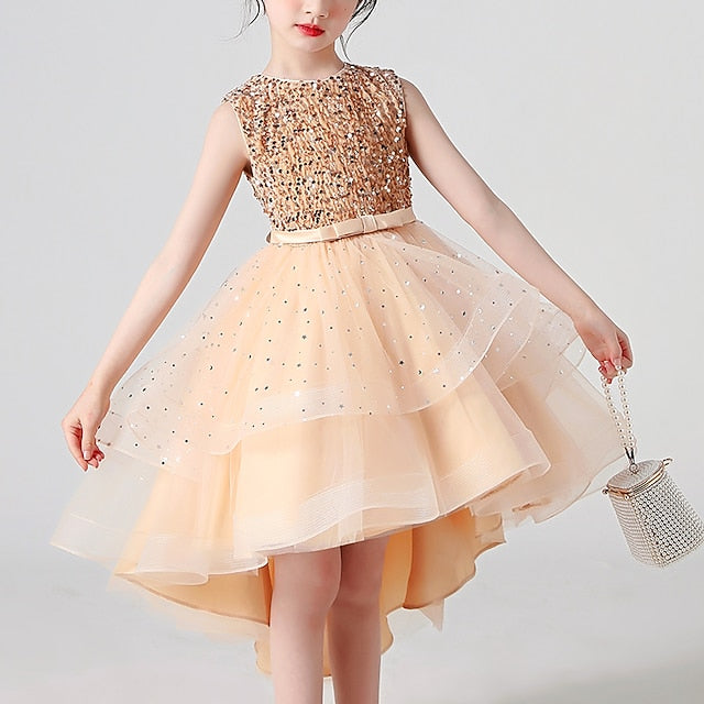 Party Dress Flower Girl Princess Girls'