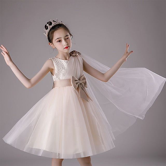 Girl Kid's Princess Dress Flower Girls'