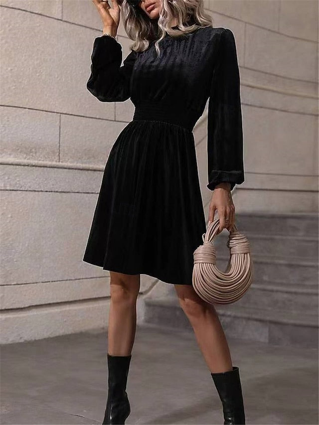 Women's Velvet Dress High Neck Long Sleeve Cinched