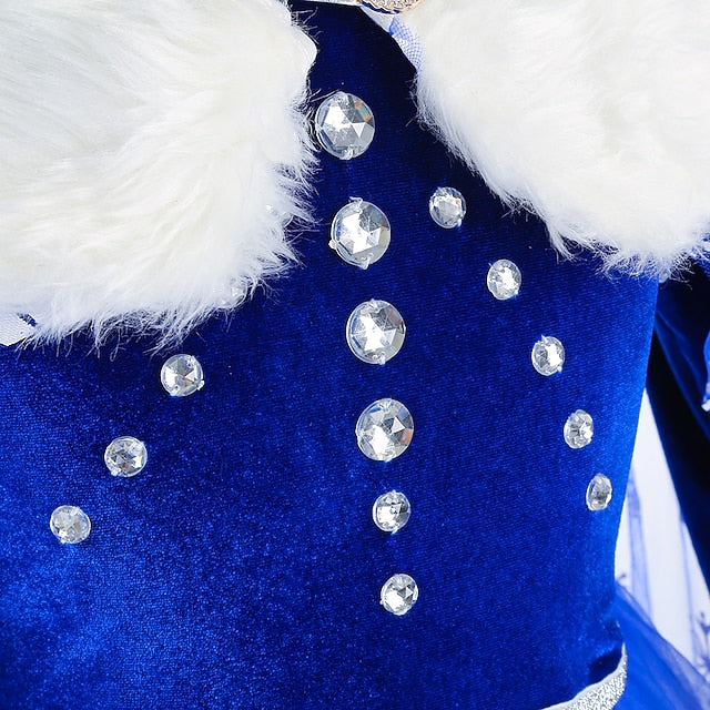 Princess Frozen Dress Flower Fairytale Party Theme Girl Elsa