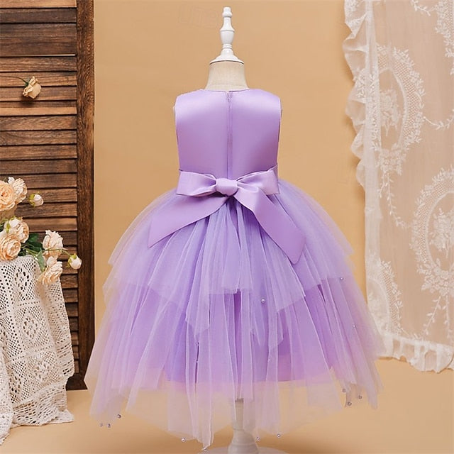 Princess Flower Girls' Girl Kid's Dress
