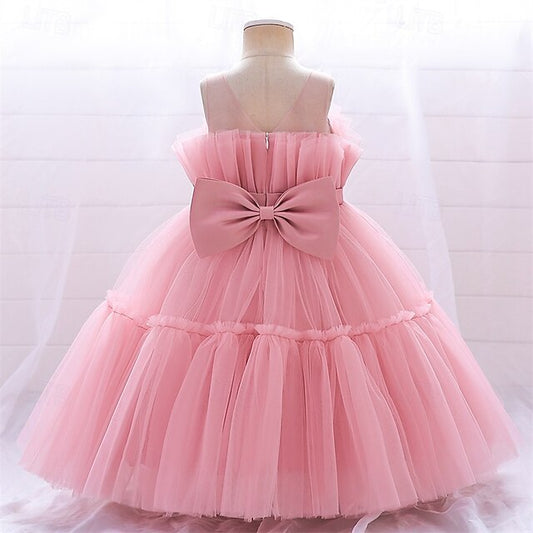 Kid's Flower Girl Girls' Dress Princess