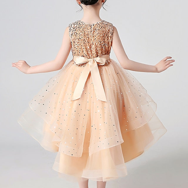 Party Dress Flower Girl Princess Girls'