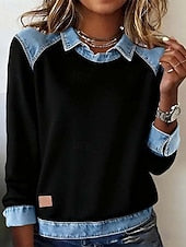 Women's Shirt Blouse Color Block Active Casual Long Sleeve