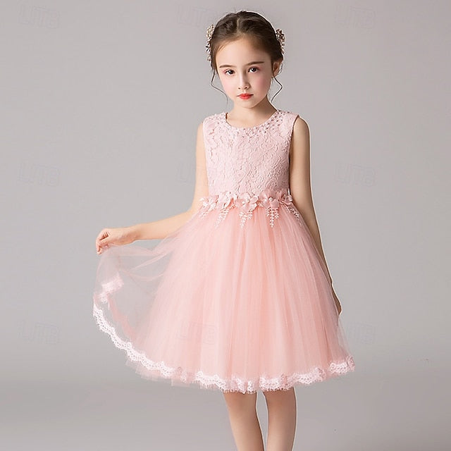 Dress Girls' Kid's Girl Flower Princess