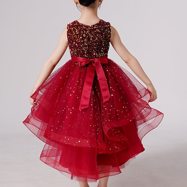 Party Dress Flower Girl Princess Girls'