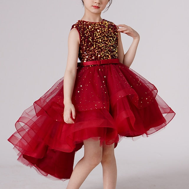 Party Dress Flower Girl Princess Girls'
