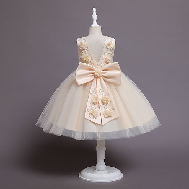 Girls' Party Wedding Dress Girl Flower