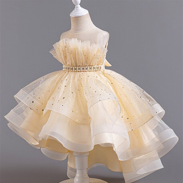 Dress Flower Girl Princess Girls' Kid's