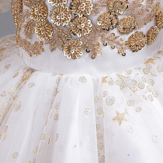 Party Dress Floral Girl Flower Girls' Kids Sequin