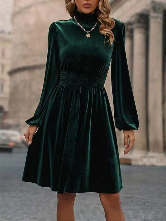 Women's Velvet Dress High Neck Long Sleeve Cinched