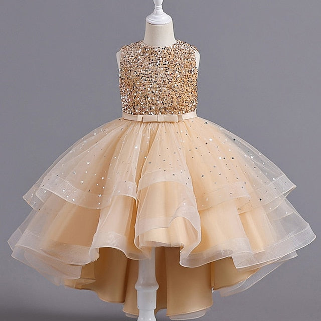 Girl Flower Performance Party Girls' Dress