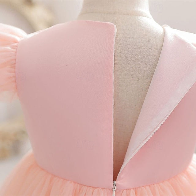 Kid's Princess Girl Dress Flower Girls'