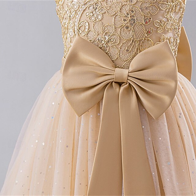 Dress Girl Princess Flower Girls' Kid's