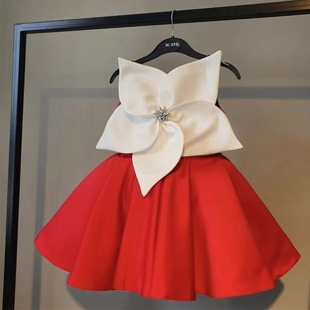 Girl Dress Flower Girls' Princess Kid's