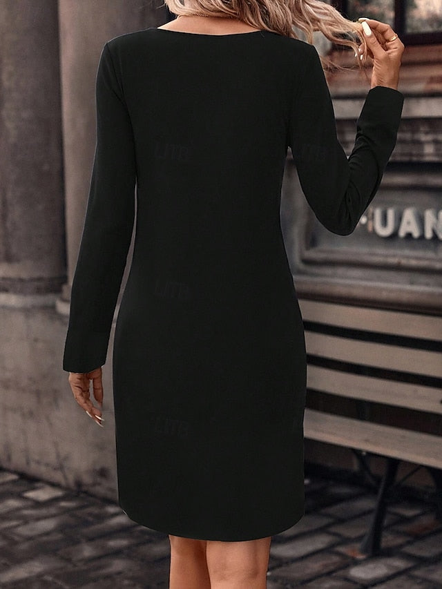 Women's Mini Dress Crew Neck Long Sleeve Petite Dress T