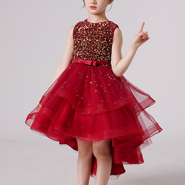 Party Dress Flower Girl Princess Girls'