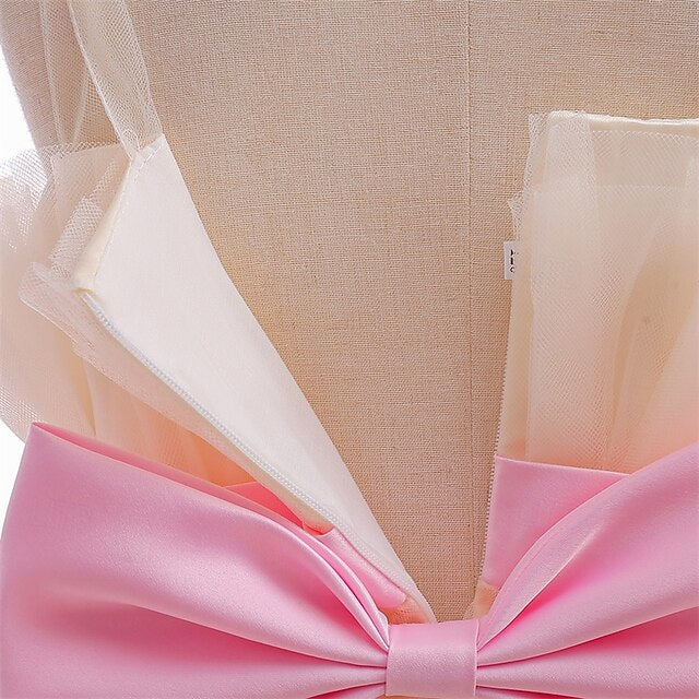 Girls' Kid's Princess Flower Girl Dress