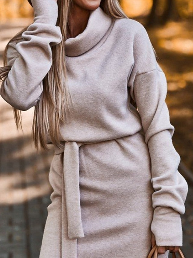Women's Midi Dress Sweater Dress Sheath Dress Fashion