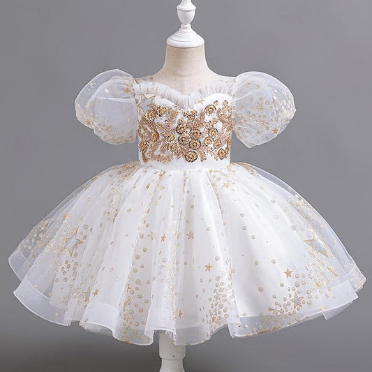 Party Dress Floral Girl Flower Girls' Kids Sequin