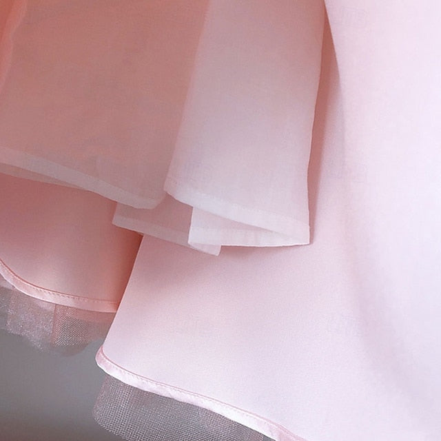 Princess Girls' Kid's Flower Dress Girl