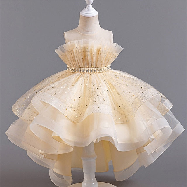 Dress Flower Girl Princess Girls' Kid's