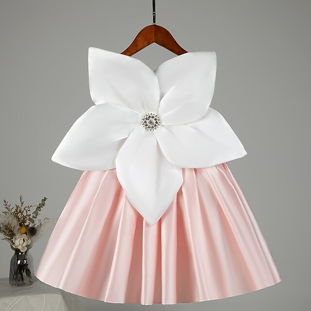 Girl Dress Flower Girls' Princess Kid's