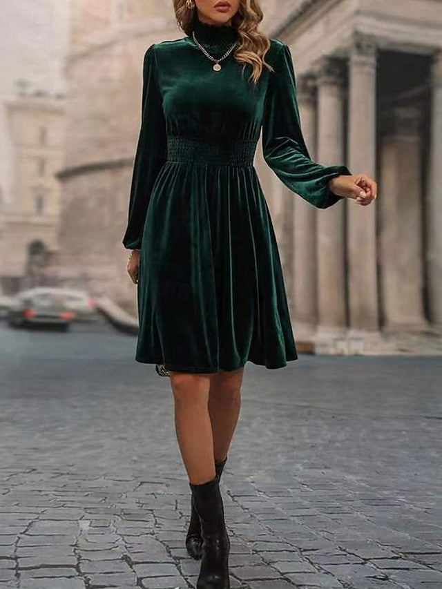 Women's Velvet Dress High Neck Long Sleeve Cinched
