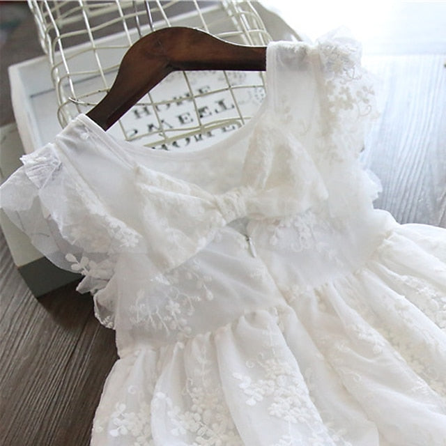 Princess Dress Girl Party Girls' Flower