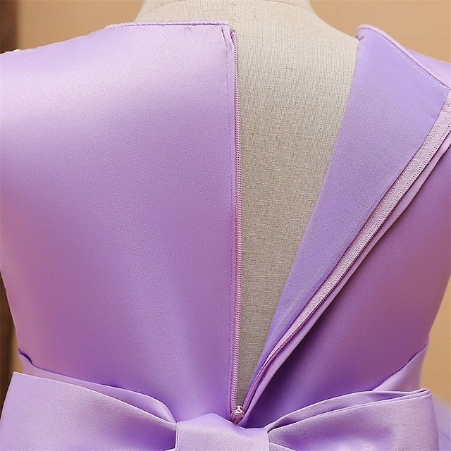 Princess Flower Girls' Girl Kid's Dress