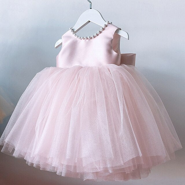 Kid's Girls' Princess Flower Girl Dress