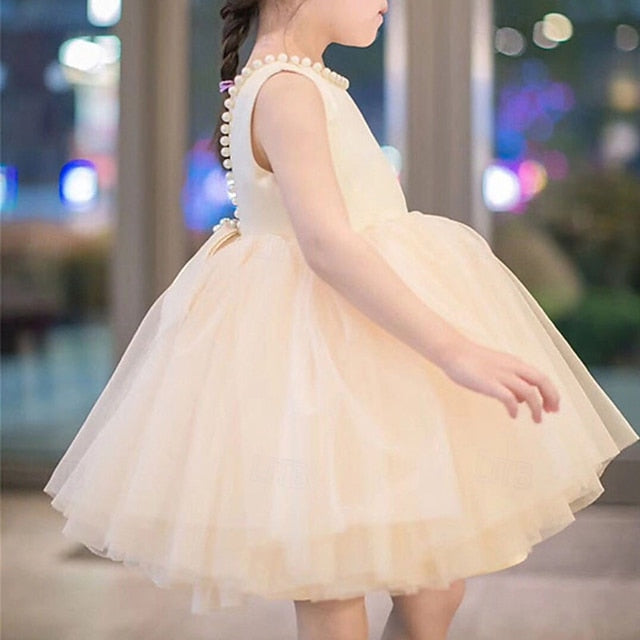 Princess Girls' Kid's Flower Dress Girl