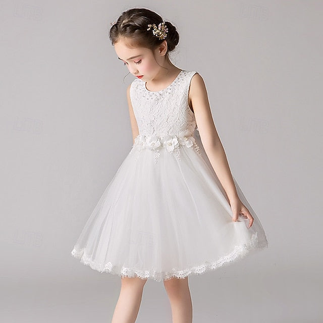 Dress Girls' Kid's Girl Flower Princess