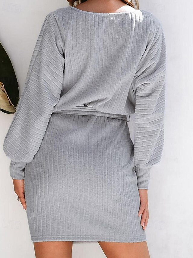 Women's Mini Dress Sweater Dress Casual Dress Sheath Dress