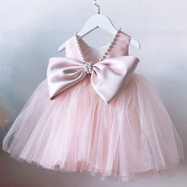 Kid's Girls' Princess Flower Girl Dress