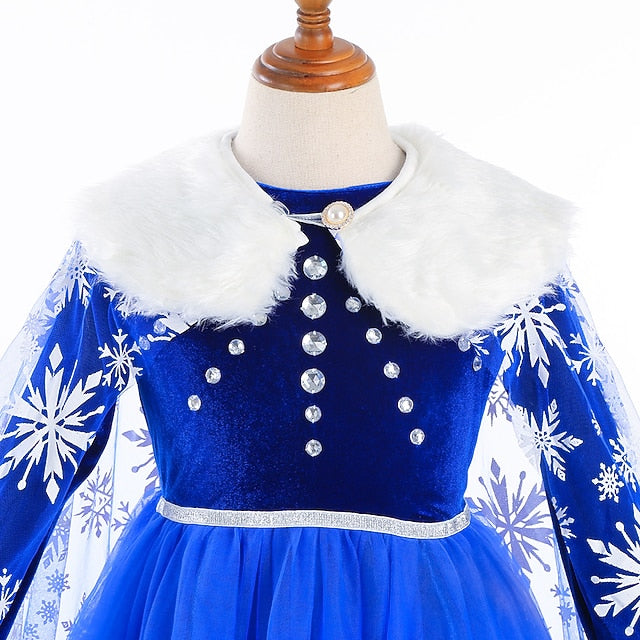 Princess Frozen Dress Flower Fairytale Party Theme Girl Elsa