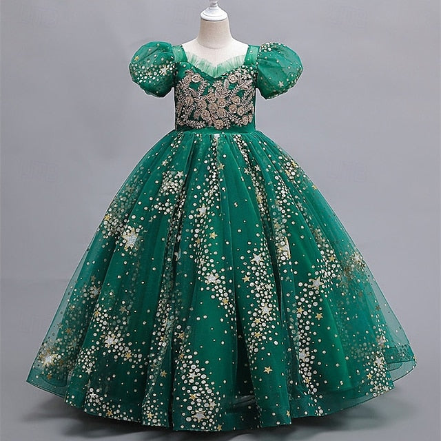 Girl Girls' Kid's Princess Flower Dress