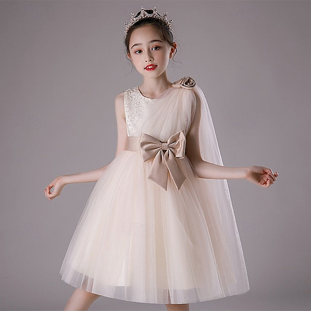 Girl Kid's Princess Dress Flower Girls'