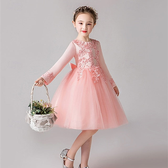 Flower Girls' Girl Dress Kid's Princess