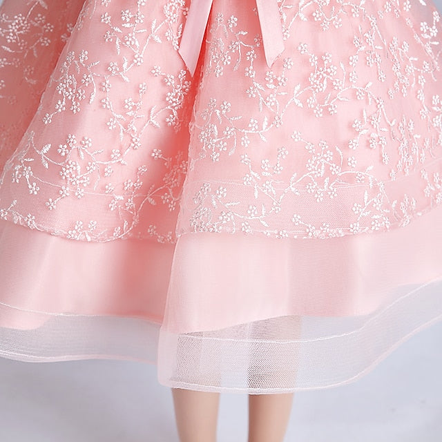 Girl Girls' Princess Dress Flower Party