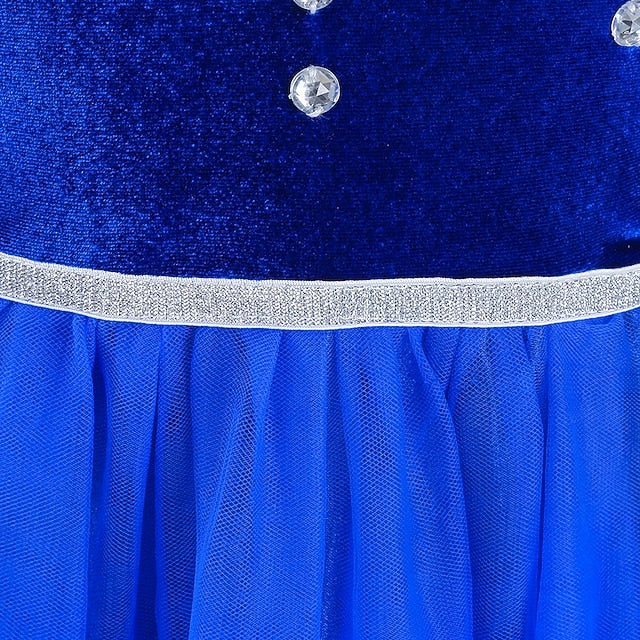 Princess Frozen Dress Flower Fairytale Party Theme Girl Elsa