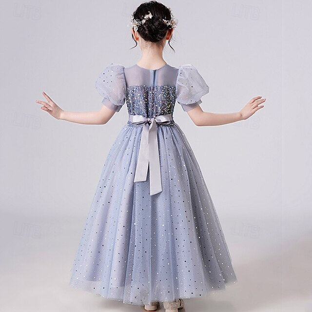 Princess Girl Kid's Girls' Flower Dress